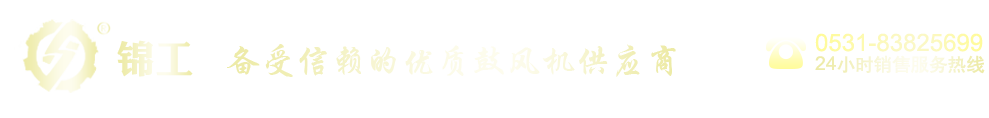 bsports必一体育_罗茨鼓风机厂家-山东锦工有限公司